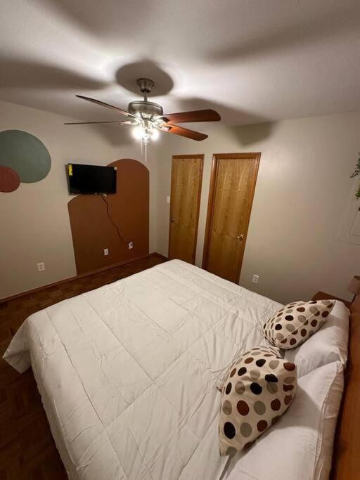 Mcallen 4Br With Pool, Shopping & More Exterior foto